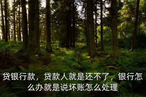 貸銀行款，貸款人就是還不了，銀行怎么辦就是說壞賬怎么處理