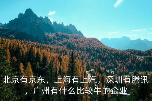 北京有京東，上海有上汽，深圳有騰訊，廣州有什么比較牛的企業(yè)