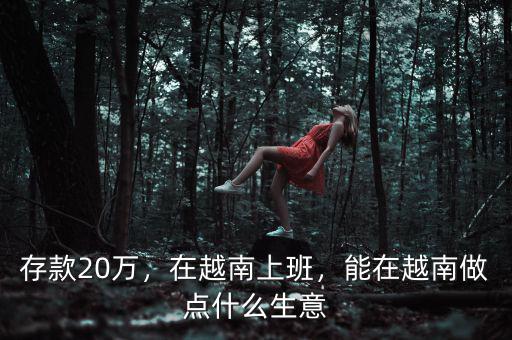 存款20萬，在越南上班，能在越南做點什么生意