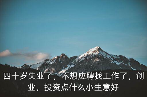 四十歲失業(yè)了，不想應(yīng)聘找工作了，創(chuàng)業(yè)，投資點什么小生意好