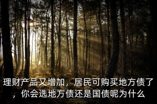 為什么地方債,居民可購(gòu)買地方債了