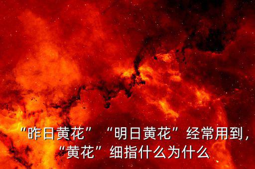 “昨日黃花”“明日黃花”經(jīng)常用到，“黃花”細(xì)指什么為什么