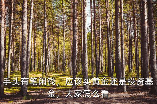 手頭有筆閑錢，應該買黃金還是投資基金，大家怎么看