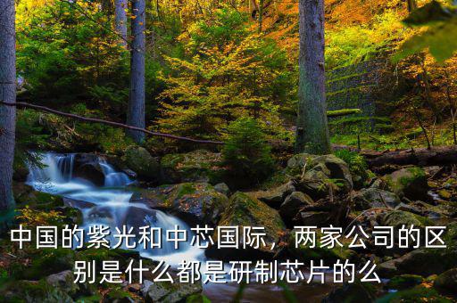 中國(guó)的紫光和中芯國(guó)際，兩家公司的區(qū)別是什么都是研制芯片的么