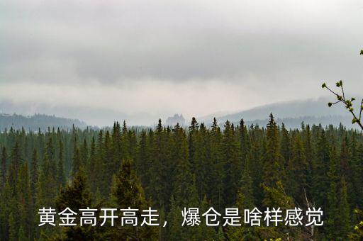 黃金高開高走，爆倉是啥樣感覺
