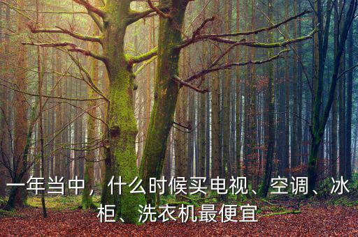一年當(dāng)中，什么時候買電視、空調(diào)、冰柜、洗衣機最便宜