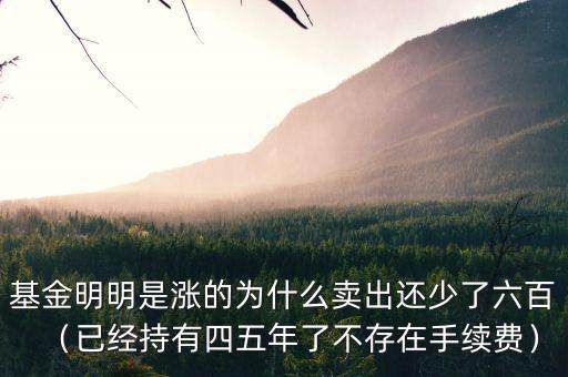 交通銀行買(mǎi)的基金份數(shù)怎么變少了,買(mǎi)了一萬(wàn)多的基金