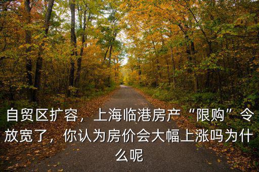 自貿(mào)區(qū)擴(kuò)容，上海臨港房產(chǎn)“限購(gòu)”令放寬了，你認(rèn)為房?jī)r(jià)會(huì)大幅上漲嗎為什么呢