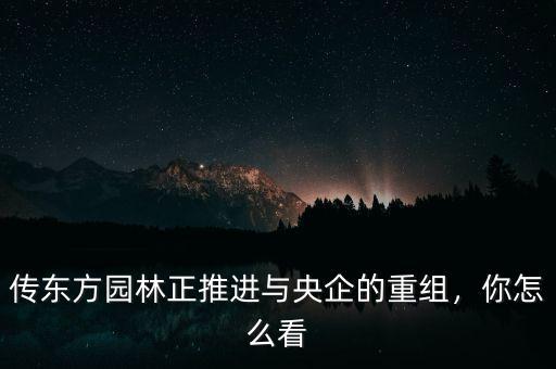 傳東方園林正推進(jìn)與央企的重組，你怎么看