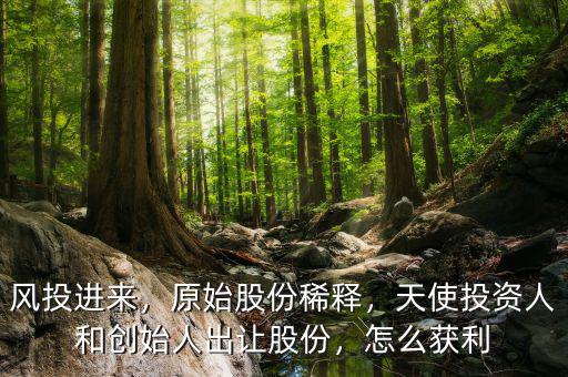 風投進來，原始股份稀釋，天使投資人和創(chuàng)始人出讓股份，怎么獲利