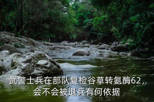 武警士兵在部隊(duì)復(fù)檢谷草轉(zhuǎn)氨酶62，會(huì)不會(huì)被退兵有何依據(jù)