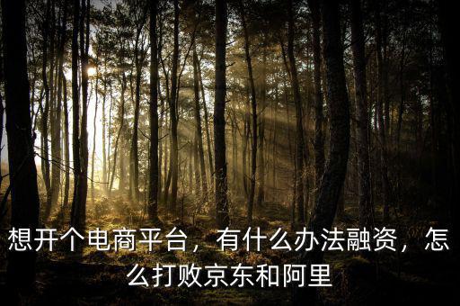 想開個(gè)電商平臺(tái)，有什么辦法融資，怎么打敗京東和阿里