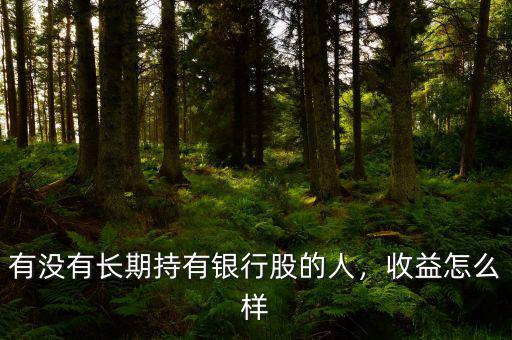 有沒有長(zhǎng)期持有銀行股的人，收益怎么樣