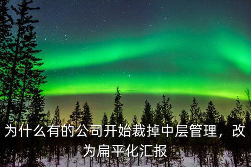 為什么有的公司開始裁掉中層管理，改為扁平化匯報