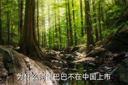 為什么阿里巴巴不在中國上市