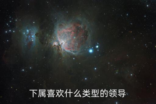 李讜是什么類型的領(lǐng)導,領(lǐng)導都是什么樣的