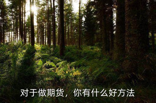 對(duì)于做期貨，你有什么好方法