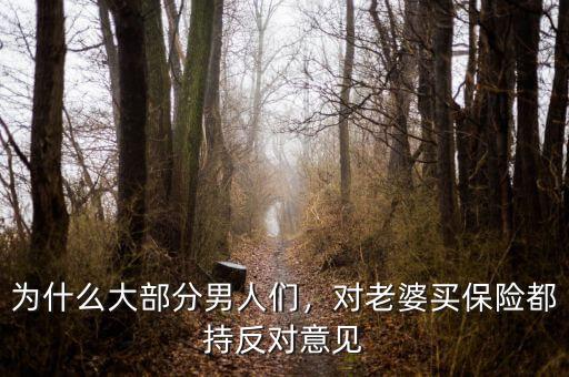 為什么大部分男人們，對老婆買保險都持反對意見
