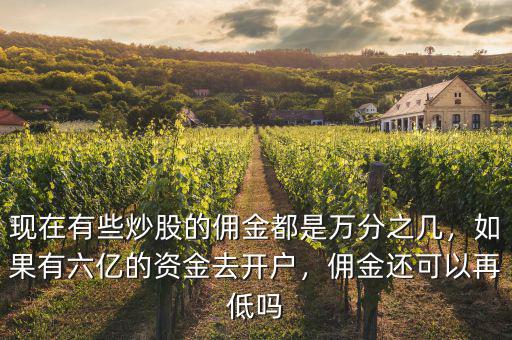 現(xiàn)在有些炒股的傭金都是萬分之幾，如果有六億的資金去開戶，傭金還可以再低嗎