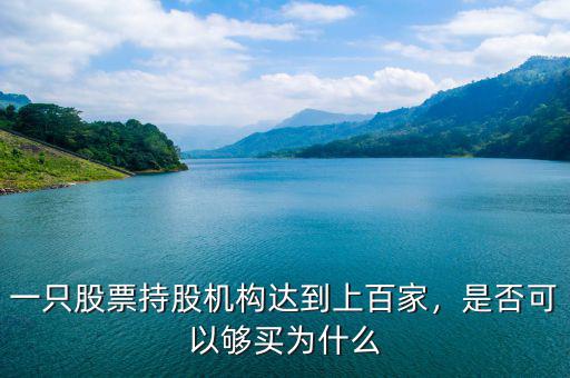 一只股票持股機(jī)構(gòu)達(dá)到上百家，是否可以夠買為什么