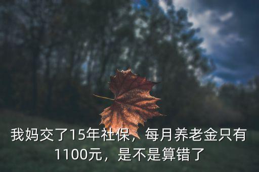 我媽交了15年社保，每月養(yǎng)老金只有1100元，是不是算錯(cuò)了