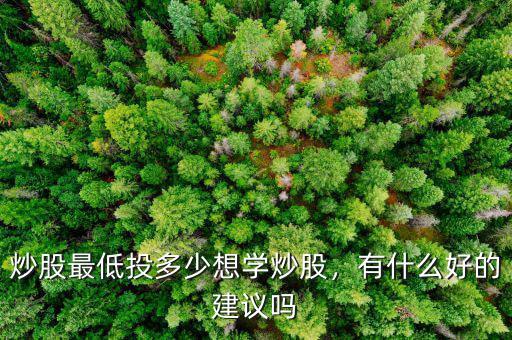 炒股最低投多少想學炒股，有什么好的建議嗎