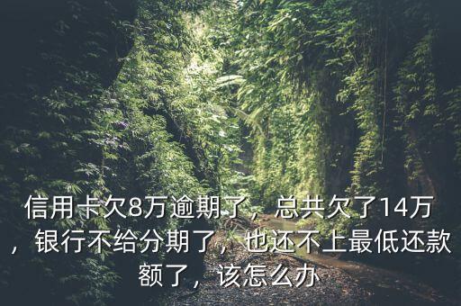 信用卡欠8萬逾期了，總共欠了14萬，銀行不給分期了，也還不上最低還款額了，該怎么辦