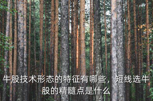 牛股技術形態(tài)的特征有哪些，短線選牛股的精髓點是什么