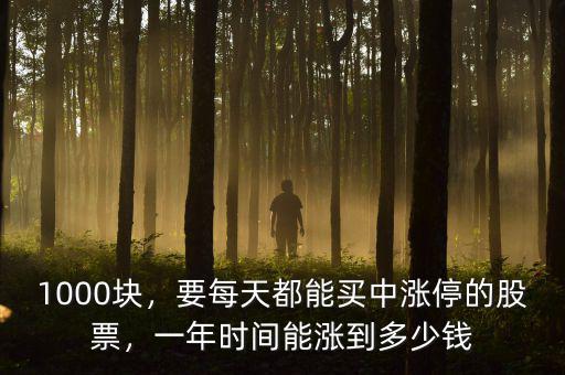1000塊，要每天都能買中漲停的股票，一年時(shí)間能漲到多少錢