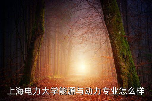 上海電力大學(xué)能源與動力專業(yè)怎么樣