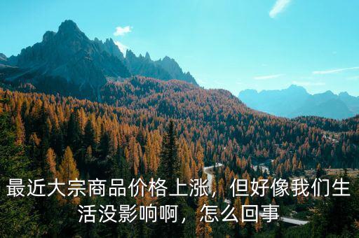 最近大宗商品價(jià)格上漲，但好像我們生活沒(méi)影響啊，怎么回事