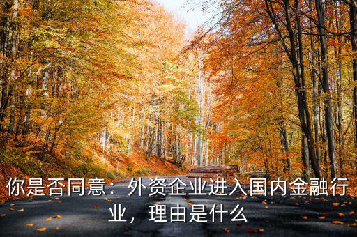 你是否同意：外資企業(yè)進入國內金融行業(yè)，理由是什么