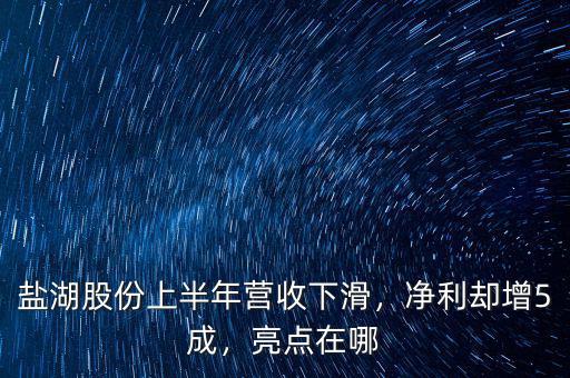 鹽湖股份上半年?duì)I收下滑，凈利卻增5成，亮點(diǎn)在哪