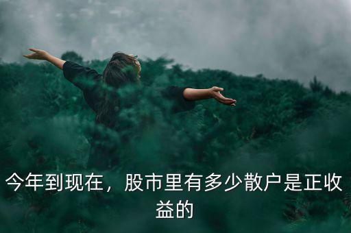 今年到現(xiàn)在，股市里有多少散戶是正收益的
