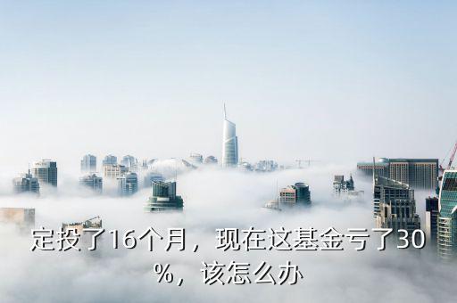 定投了16個月，現(xiàn)在這基金虧了30%，該怎么辦