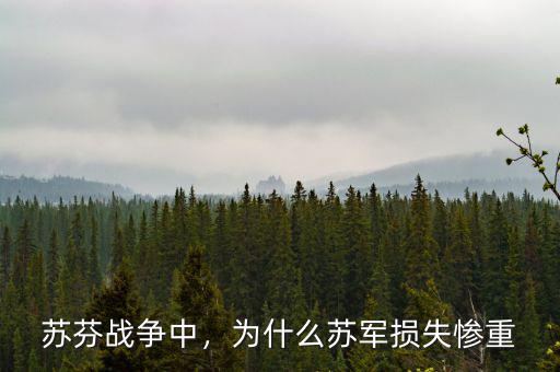 蘇芬戰(zhàn)爭中，為什么蘇軍損失慘重