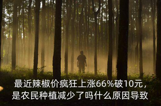 最近辣椒價(jià)瘋狂上漲66%破10元，是農(nóng)民種植減少了嗎什么原因?qū)е? class=