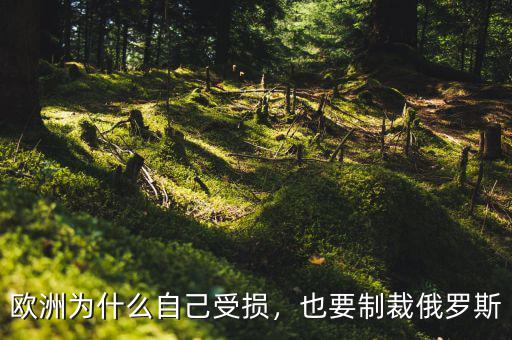 歐洲為什么自己受損，也要制裁俄羅斯
