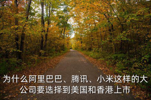 為什么阿里巴巴、騰訊、小米這樣的大公司要選擇到美國和香港上市