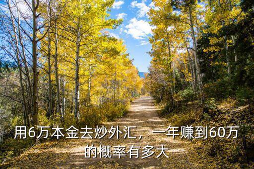 用6萬本金去炒外匯，一年賺到60萬的概率有多大