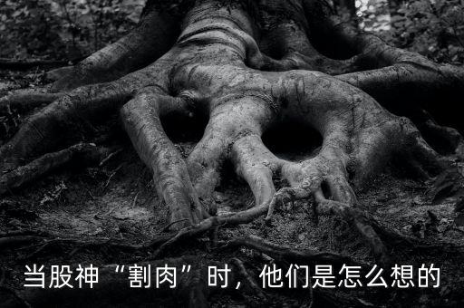 當(dāng)股神“割肉”時，他們是怎么想的