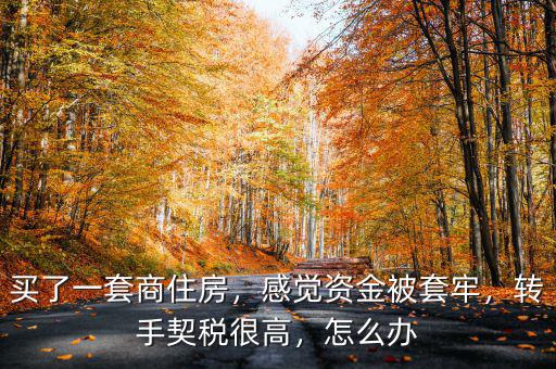 買了一套商住房，感覺資金被套牢，轉(zhuǎn)手契稅很高，怎么辦