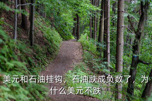 美元和石油掛鉤，石油跌成負數(shù)了，為什么美元不跌