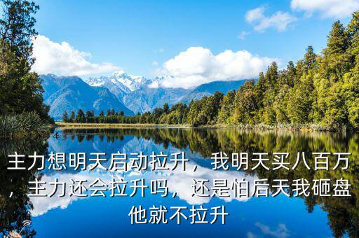 主力想明天啟動拉升，我明天買八百萬，主力還會拉升嗎，還是怕后天我砸盤他就不拉升