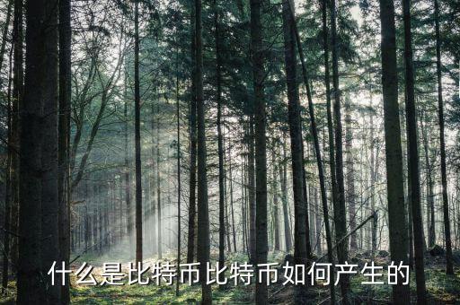什么是比特幣比特幣如何產生的