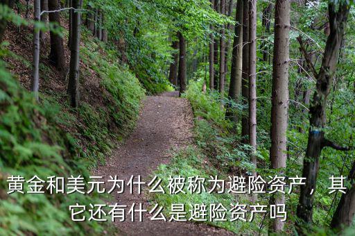 黃金和美元為什么被稱為避險資產(chǎn)，其它還有什么是避險資產(chǎn)嗎