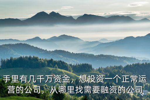 手里有幾千萬資金，想投資一個正常運營的公司，從哪里找需要融資的公司