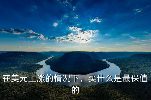 2014美元走強(qiáng)買(mǎi)什么股票,買(mǎi)什么是最保值的