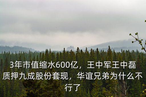 3年市值縮水600億，王中軍王中磊質(zhì)押九成股份套現(xiàn)，華誼兄弟為什么不行了