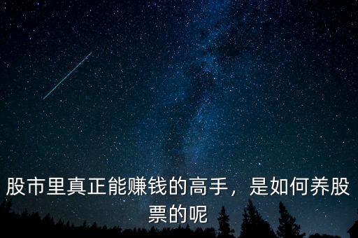 股市里真正能賺錢的高手，是如何養(yǎng)股票的呢
